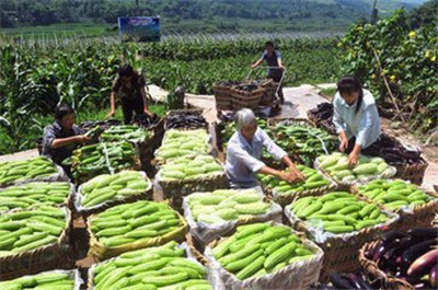 重慶明吉農(nóng)產(chǎn)品配送有限公司_重慶農(nóng)產(chǎn)品配送_重慶農(nóng)家樂_重慶小龍蝦垂釣